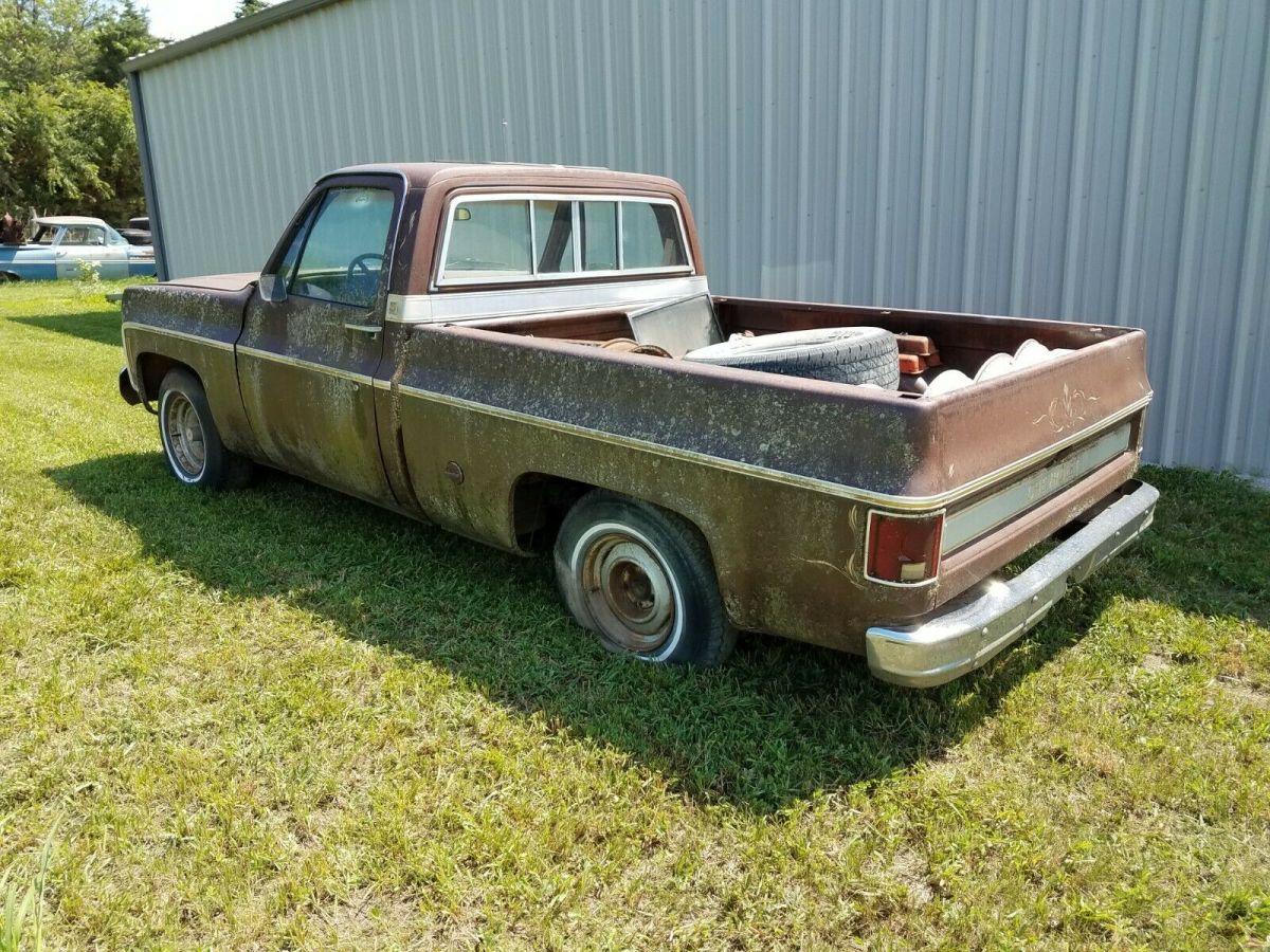 1977 Brown Chevrolet C-10 Standard Cab Pickup