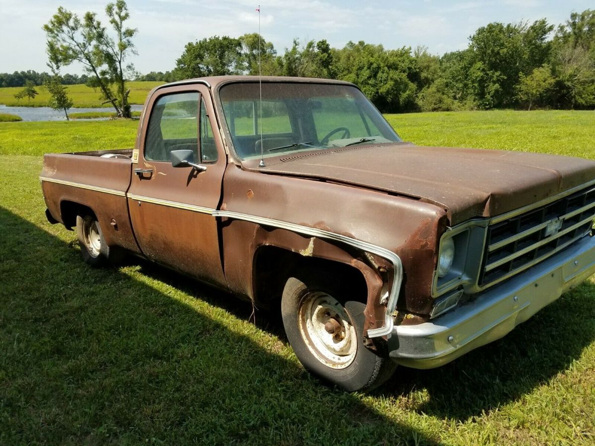 1977 Brown Chevrolet C-10 Standard Cab Pickup