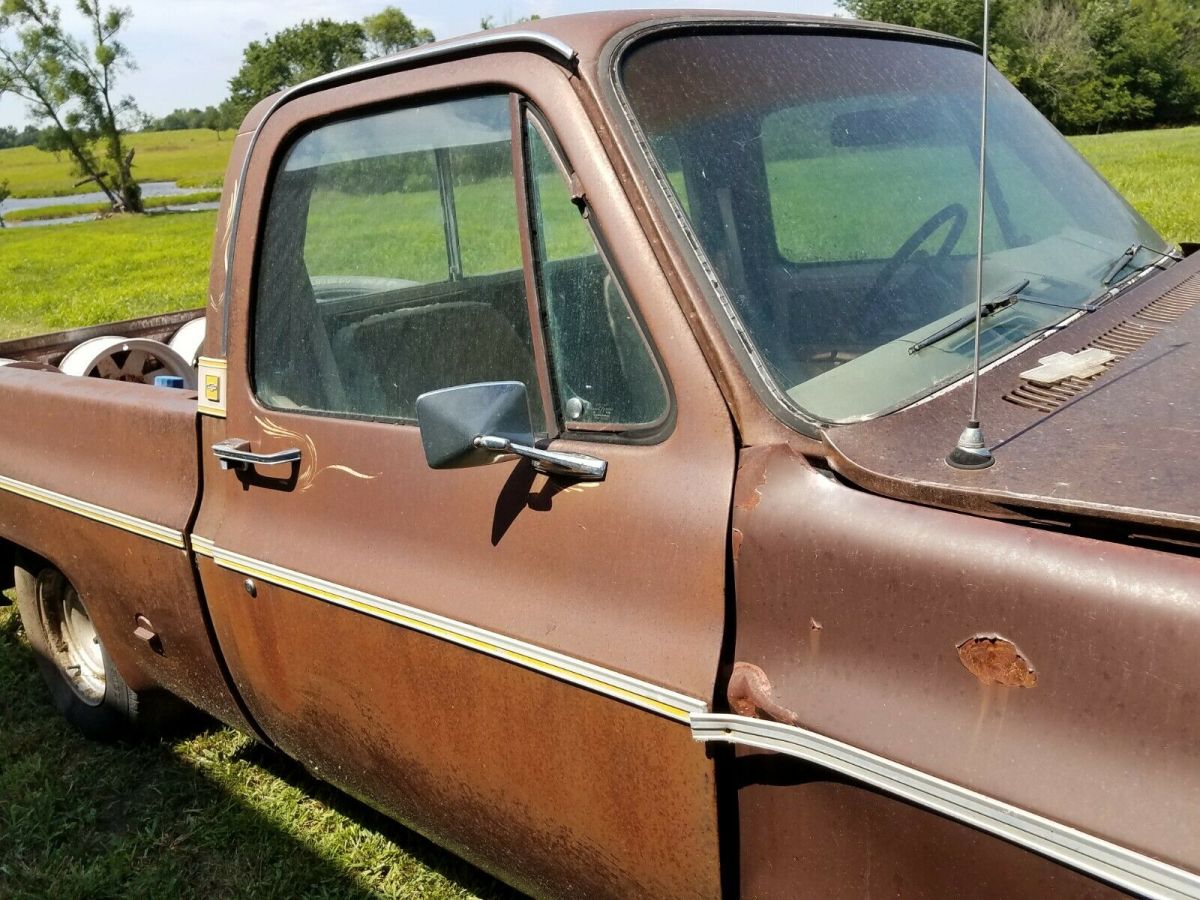 1977 Brown Chevrolet C-10 Standard Cab Pickup
