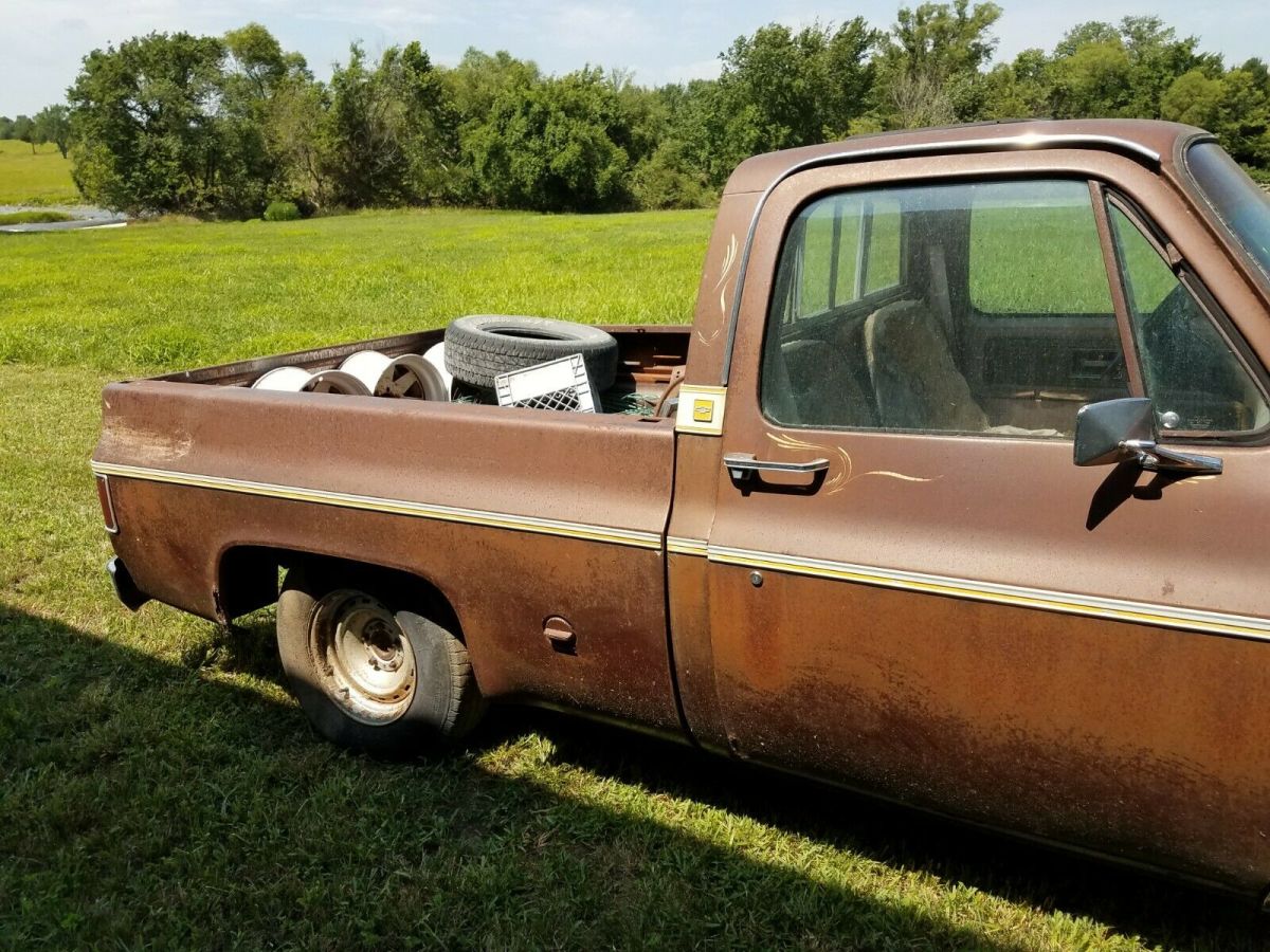 1977 Brown Chevrolet C-10 Standard Cab Pickup