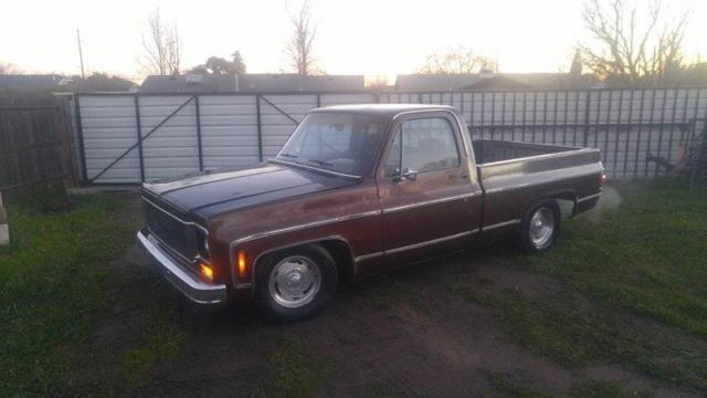1977 Brown Chevrolet C-10 Standard Cab Pickup