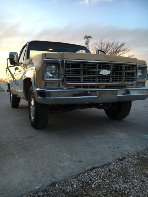 1977 Tan Chevrolet C/K Pickup 2500 Standard Cab Pickup