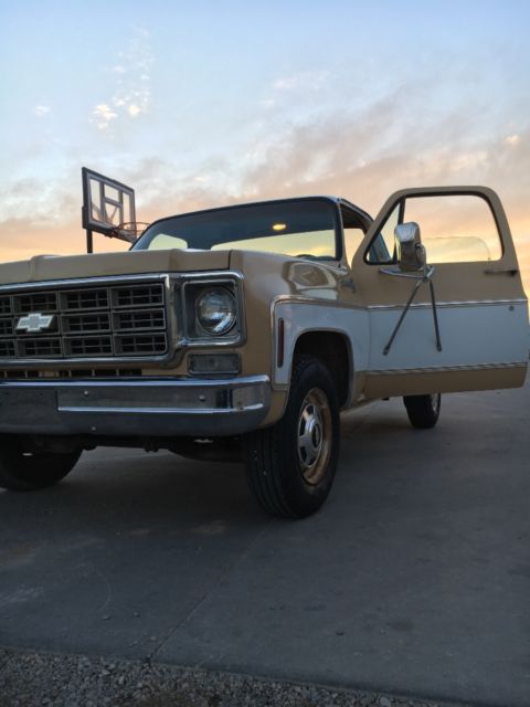 1977 Tan Chevrolet C/K Pickup 2500 Standard Cab Pickup