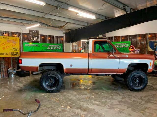 1977 Gold Chevrolet Other Pickups Pickup Truck