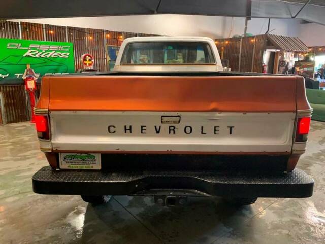 1977 Gold Chevrolet Other Pickups Pickup Truck