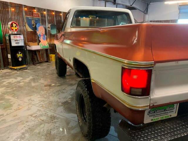 1977 Gold Chevrolet Other Pickups Pickup Truck