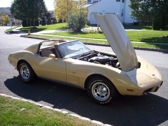 1977 Beige Chevrolet Corvette Convertible