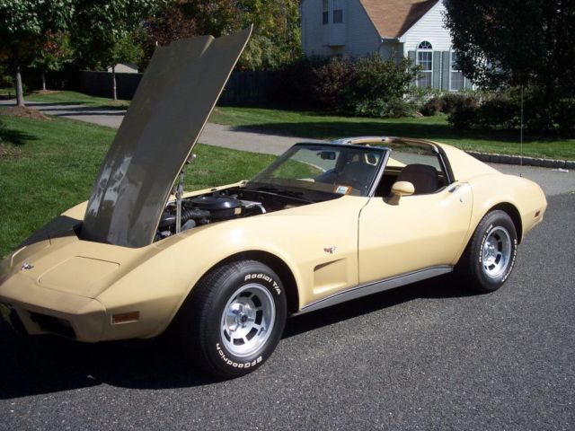 1977 Beige Chevrolet Corvette Convertible