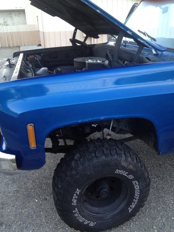 1977 Chevrolet Other Pickups Pick-Up