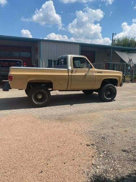 1977 Tan Chevrolet C/K Pickup 1500 Standard Cab Pickup