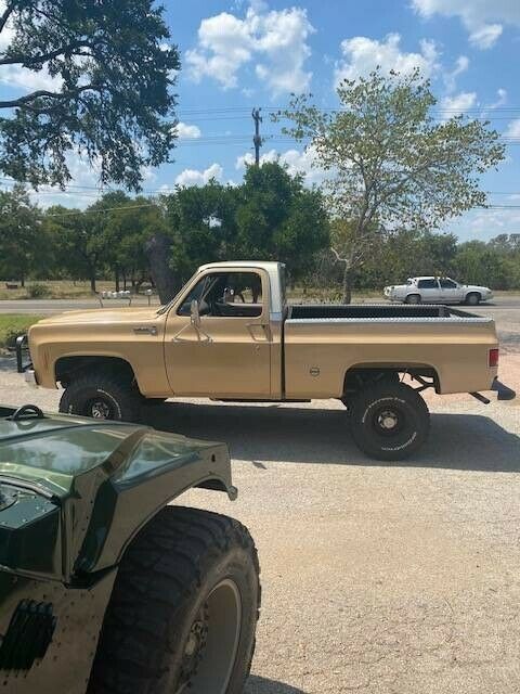 1977 Tan Chevrolet C/K Pickup 1500 Standard Cab Pickup