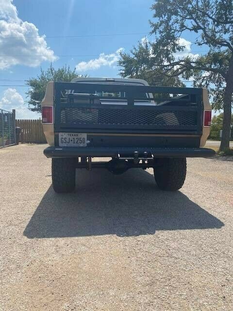 1977 Tan Chevrolet C/K Pickup 1500 Standard Cab Pickup