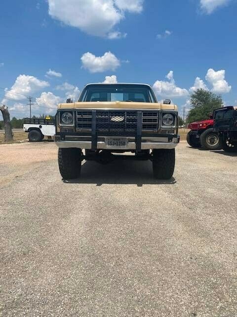 1977 Tan Chevrolet C/K Pickup 1500 Standard Cab Pickup
