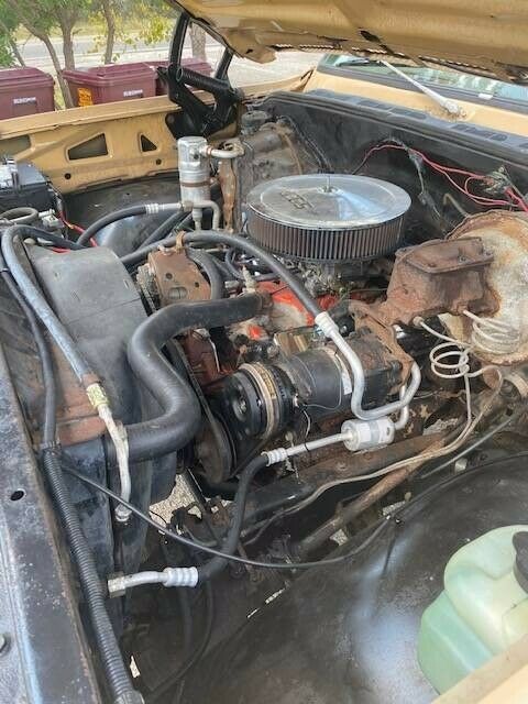 1977 Tan Chevrolet C/K Pickup 1500 Standard Cab Pickup