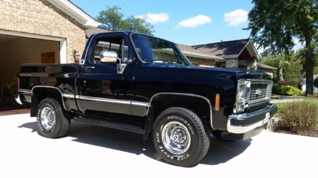 1977 Black Chevrolet Other Pickups Truck