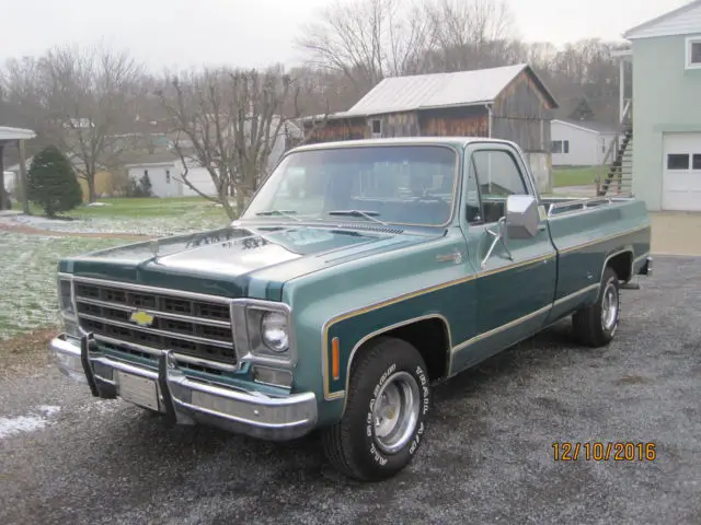 1977 Chevrolet Silverado 10 454 Pickup for sale: photos, technical ...