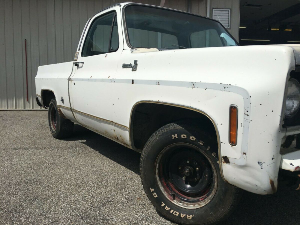 1977 white Chevrolet Silverado 1500 Standard Cab Pickup