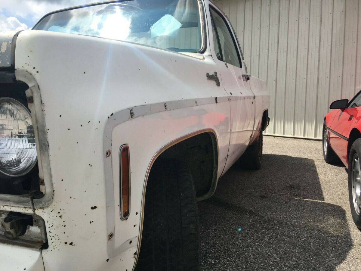 1977 white Chevrolet Silverado 1500 Standard Cab Pickup