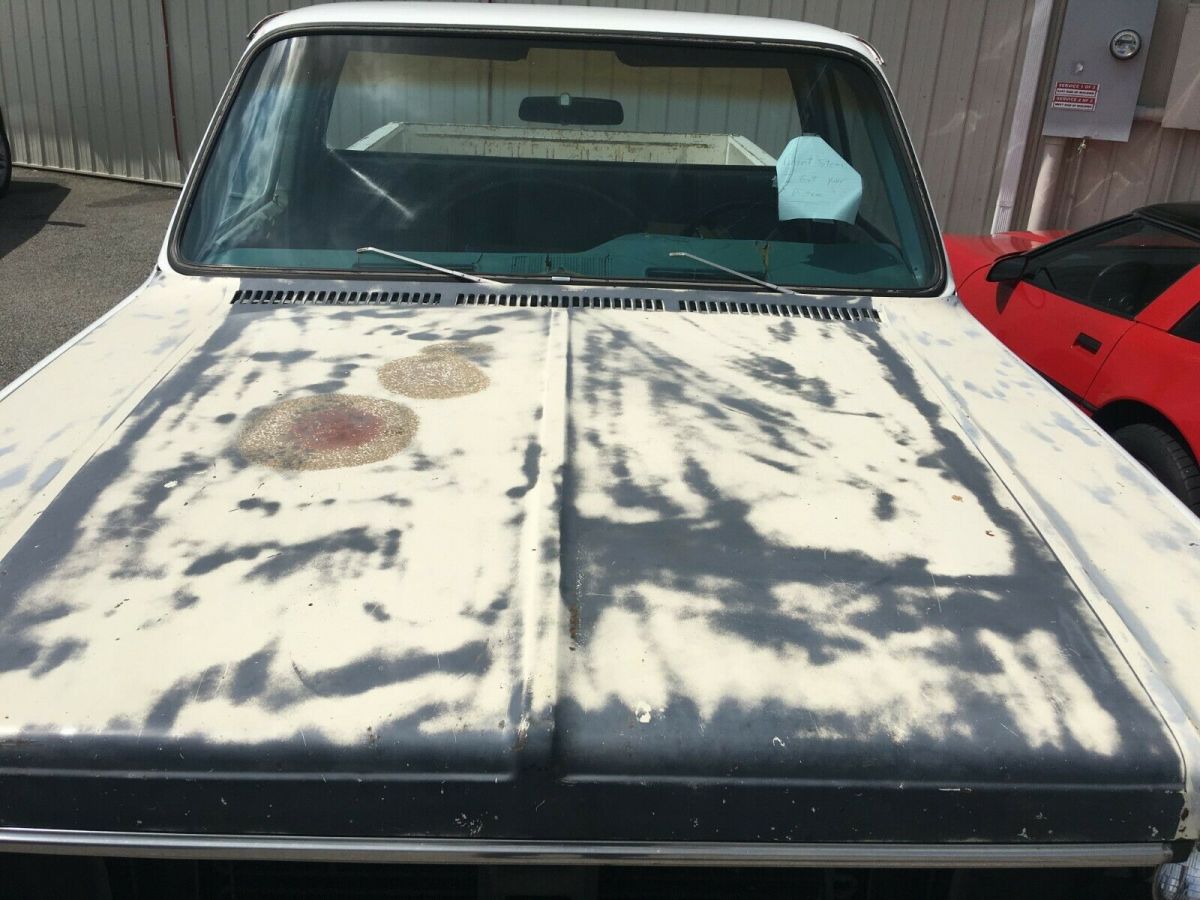 1977 white Chevrolet Silverado 1500 Standard Cab Pickup