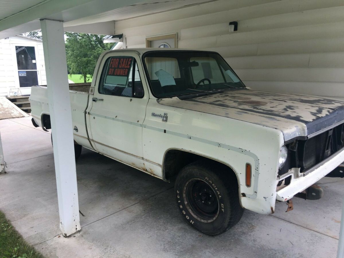1977 white Chevrolet Silverado 1500 Standard Cab Pickup