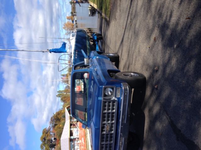 1977 Blue Chevrolet Other Pickups Standard Cab Pickup