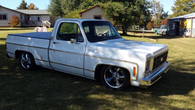 1977 White Chevrolet Other Pickups Standard Cab Pickup