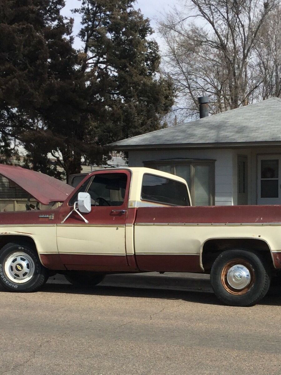 1977 Chevrolet Other Pickups Standard Cab Pickup