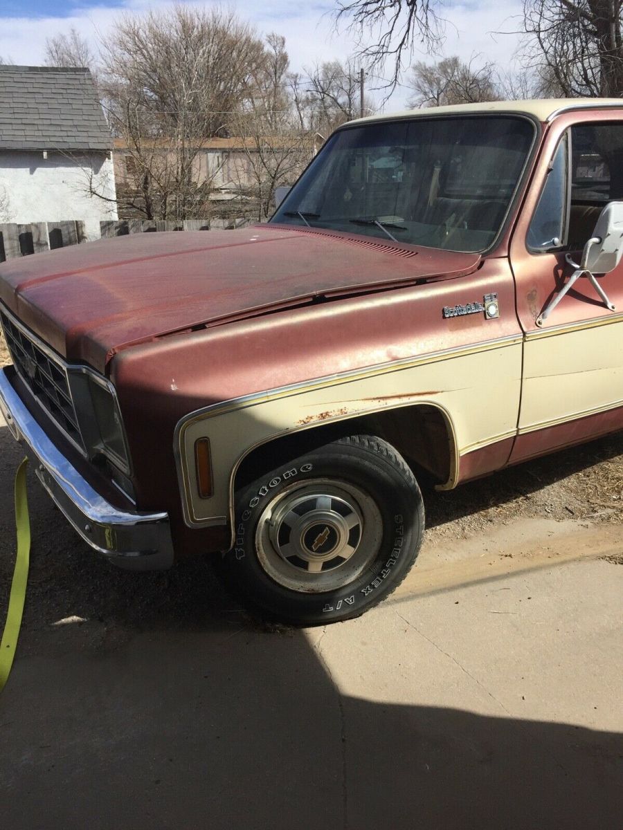 1977 Chevrolet Other Pickups Standard Cab Pickup
