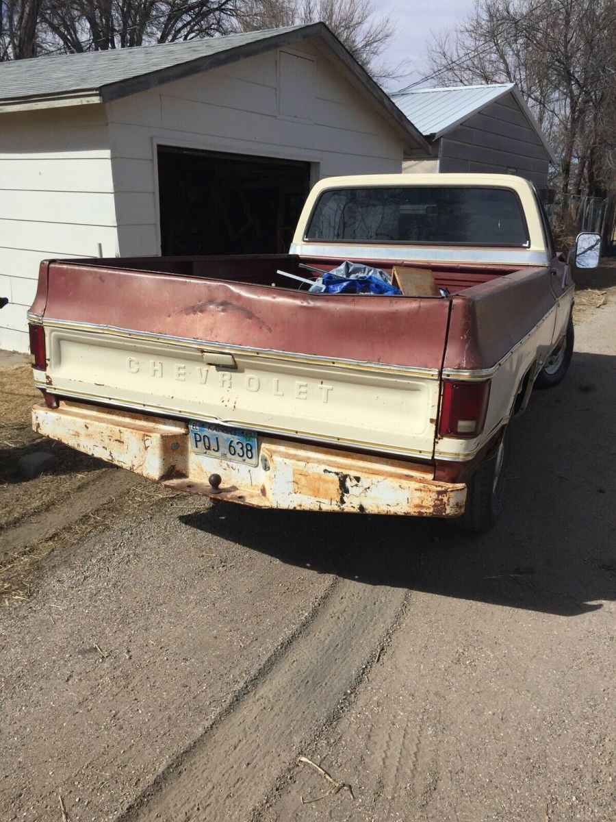 1977 Chevrolet Other Pickups Standard Cab Pickup
