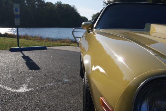 1977 Yellow Chevrolet Camaro SPORT COUPE