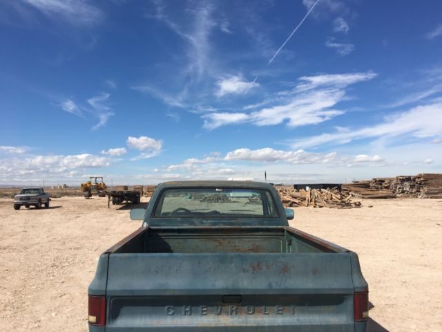 1977 Green Chevrolet C/K Pickup 1500 Standard Cab Pickup