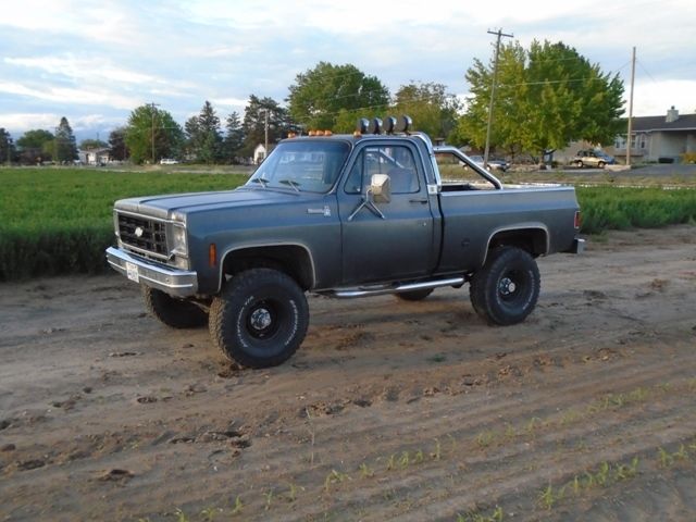 1977 Gray Chevrolet C/K Pickup 1500 Short Bed