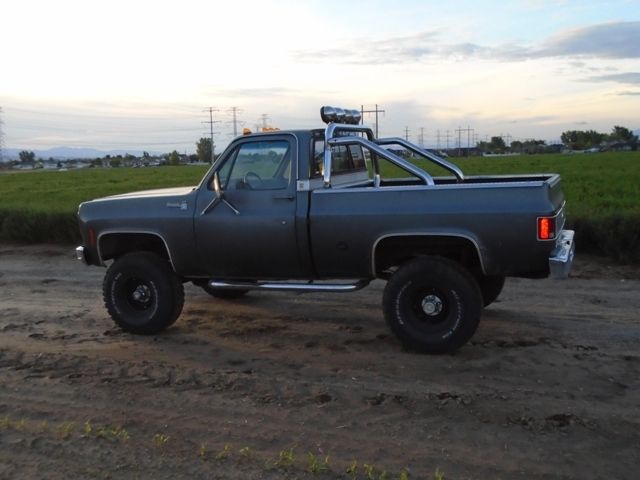 1977 Gray Chevrolet C/K Pickup 1500 Short Bed