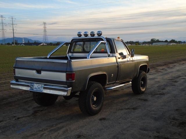 1977 Gray Chevrolet C/K Pickup 1500 Short Bed