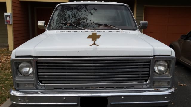 1977 White Chevrolet C/K Pickup 2500 Standard Cab Pickup