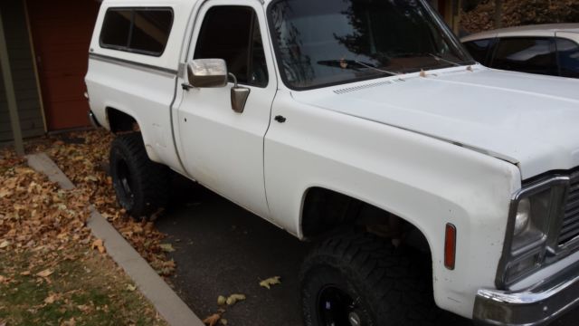 1977 White Chevrolet C/K Pickup 2500 Standard Cab Pickup