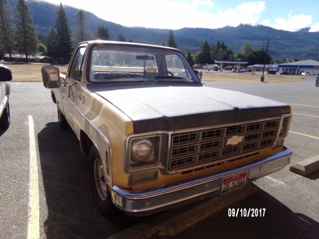 1977 Yellow Chevrolet C/K Pickup 1500 Standard Cab Pickup