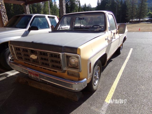 1977 Yellow Chevrolet C/K Pickup 1500 Standard Cab Pickup