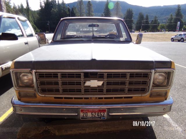 1977 Yellow Chevrolet C/K Pickup 1500 Standard Cab Pickup