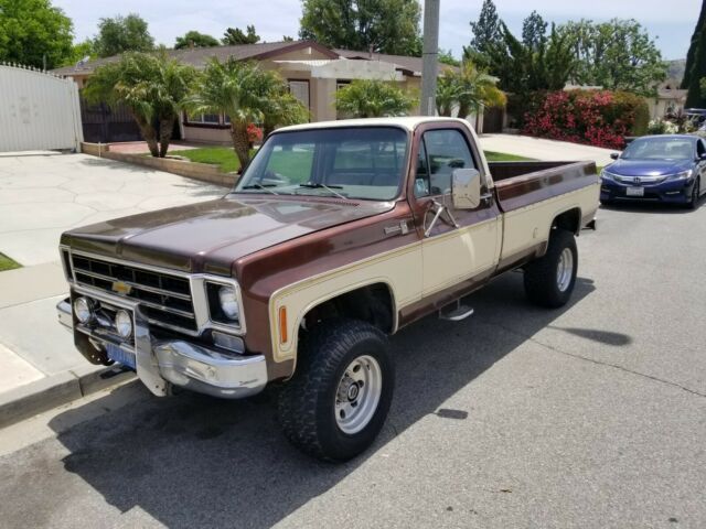 1977 Brown Chevrolet Silverado 2500 Standard Cab Pickup