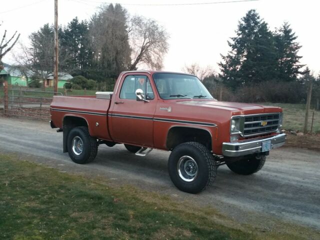 1977 Brown Chevrolet Other Pickups Standard Cab Pickup