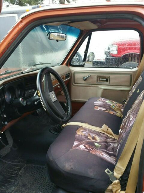 1977 Brown Chevrolet Other Pickups Standard Cab Pickup