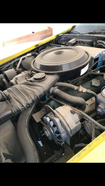 1977 Yellow Chevrolet Corvette Coupe