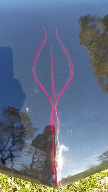 1977 Chevrolet Corvette