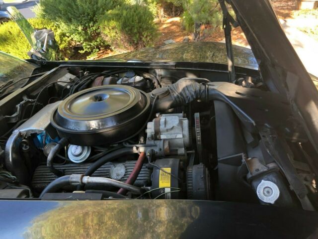 1977 Black Chevrolet Corvette Coupe