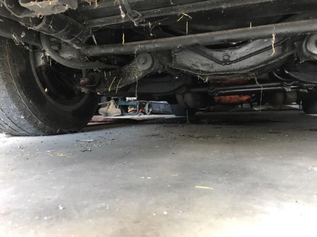 1977 Black Chevrolet Corvette Coupe