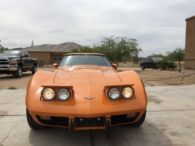 1977 Custom Corvette for sale: photos, technical specifications ...