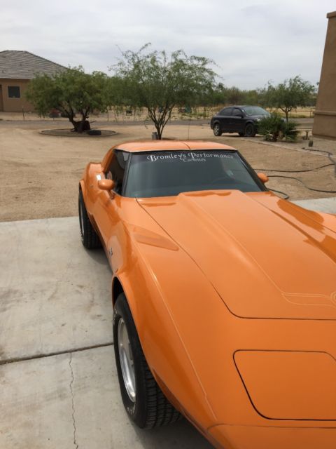 1977 Custom Corvette for sale: photos, technical specifications ...