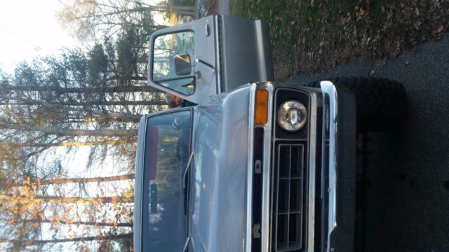 1977 gray Ford F-100 Standard Cab Pickup