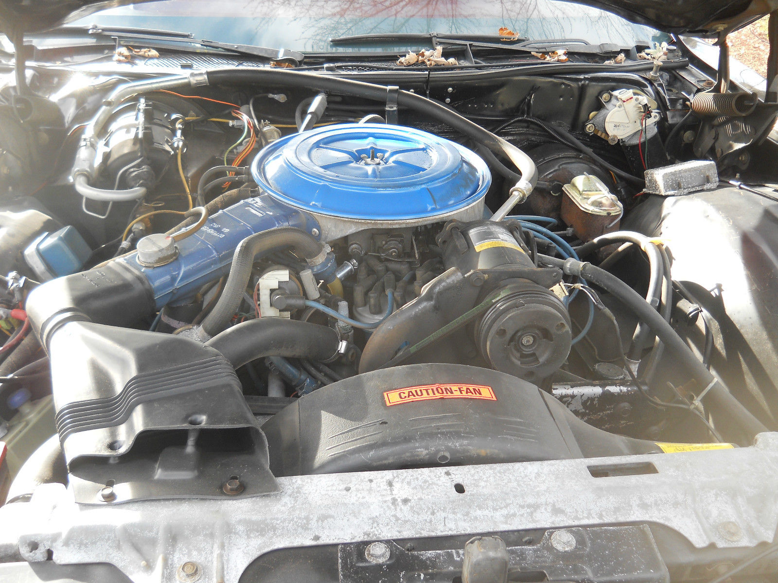 1977 Black Ford Other Hardtop